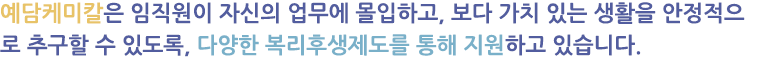 예담케미칼은 임직원이 자신의 업무에 몰입하고, 보다 가치 있는 생활을 안정적으로 추구할 수 있도록, 다양한 복리후생제도를 통해 지원하고 있습니다.
